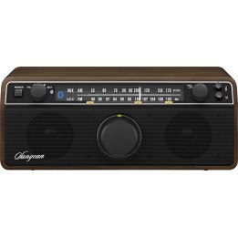 SANGEAN WR-12 BT Receptor de radio con bluetooth