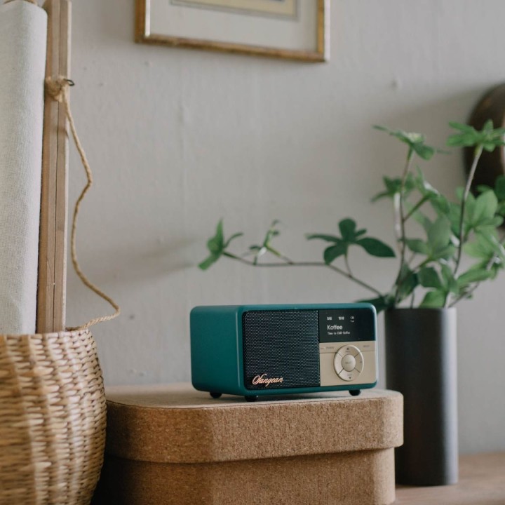 SANGEAN DDR-7X VERDE RECEPTOR DAB+ Y FM