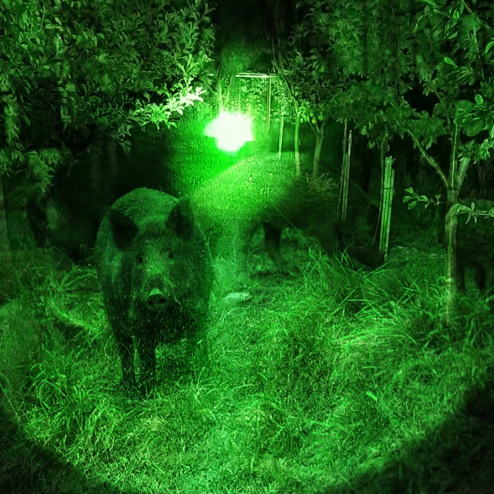 PNI ADVENTURE F750 LINTERNA LED VERDE 10W