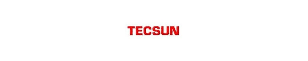 TECSUN